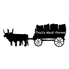 Maybe you would like to learn more about one of these? Sacramento Wholesale Flowers Home Facebook