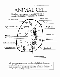 Get in the habit of labeling. Animal And Plant Cells Worksheet Inspirational 1000 Images About Plant Animal Cells On Pinterest Chessmuseu Cells Worksheet Animal Cell Plant Cells Worksheet