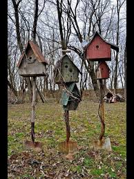 Pin Von Joann Conrad Auf Gardens Vogelhaus Ideen Rustikale Vogelhauschen Vogel Im Garten
