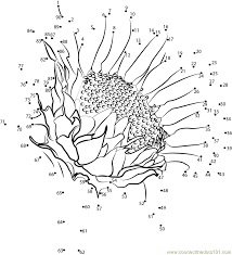 This set of coloring pages is selected precisely for that purpose. Pin On Dot To Dot