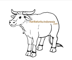 Gambar mewarnai hewan ternak domba domba hewan gambar. Mewarnai Gambar Qurban Mewarnai Cerita Terbaru Lucu Sedih Humor Kocak Romantis