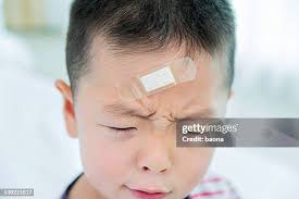 16,727 Hard Head Stock Photos, High-Res Pictures, and Images