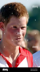 Royal family playing polo hi-res stock photography and images