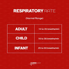 Image result for Respiratory Rate