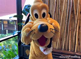 29,281 likes · 305 talking about this · 21,918 were here. Everything You Need To Know About Bringing Your Pets To Disney World The Disney Food Blog