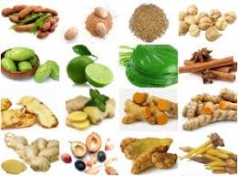 Pil virgin keset rapet jamu perawatan vagina wanita asli madura jm59. Resep Jamu Merapatkan Miss V Resep Masakan Indonesia