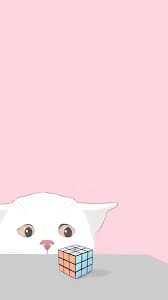  Pin Oleh Sidney Amador Di à¹à¸¡à¸§ Kucing Lucu Hewan Kucing