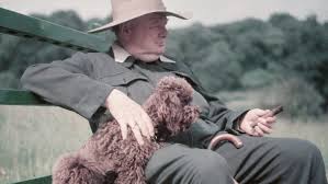 We did not find results for: How Faith Helped Winston Churchill Keep Calm And Carry On