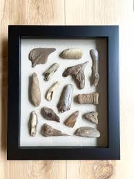 Image result for Light Driftwood 1994 Shadow