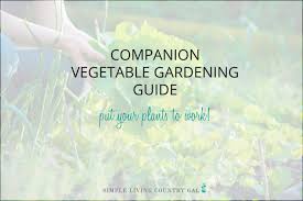 Companion planting doesn't just give you higher yields, it also saves on space & helps with pest control. Vegetable Companion Planting Chart Pdf Simple Living Country Gal