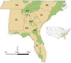 Maybe you would like to learn more about one of these? Map Of The State Of Georgia Ga And Neighboring States Of Alabama Download Scientific Diagram
