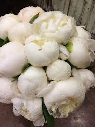 1 white peony for cut flowers is 'charlie's white'. Pin On Pioner