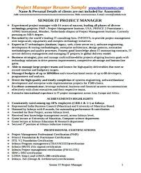Capable of proactively handling project issues and promptly escalating relevant matters to senior management. Infrastructure Project Manager Resume Resume Template Database