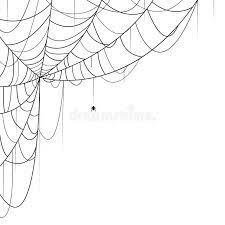 Spider Web Vector Illustration Of Spider And Web On White Background Ad Vector Illustration Spider Web Spider Web Drawing Spider Drawing Spider Art