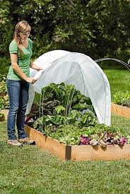 Pin By Ahh On Garden And Flowers In 2021 Winter Vegetables Gardening Floating Garden Winter Vegetables
