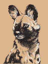 How to draw a dog with pencil. African Wild Dog Stock Illustrations 1 063 African Wild Dog Stock Illustrations Vectors Clipart Dreamstime