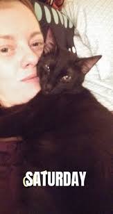 Lost Cat Apollo in Jefferson Town Area