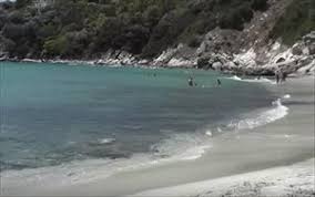 Αναχώρηση.7.30 από ομονοια και.8.00 από νεο ηρακλειο με θέα προς το αιγαίο και το βραχονήσι γκαμήλα, το μικρό λιμάνι των αγίων. Notia Eyboia 5 Paralies Gia F8inopwrina Mpania Clickatlife