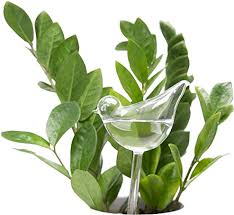 Download Tumblr Plants Png Png Image With No Background Pngkey Com