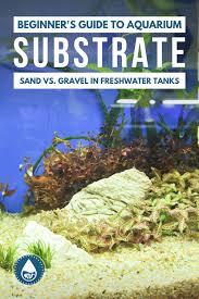 Beginner S Guide To Aquarium Substrate Sand Vs Gravel In Freshwater Tanks In 2020 Aquarium Sand Aquarium Fresh Water
