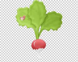 Garden Radish Drawing Vegetable Common Beet Others Food Leaf Decoupage Png Klipartz Download 4,177 drawing radish stock illustrations, vectors & clipart for free or amazingly low rates! klipartz