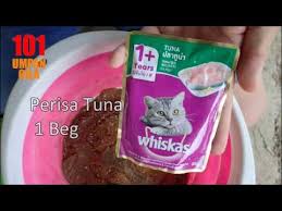 Umpan cakoi air 250 + 7tutup #greenbaitsoya + tepung gamdum (simpan peram 1ke 2malam)lepas itu bila nak mancing baru campur tepung sikit untuk kapal dan bali. Umpan Ikan Keli Afrika Ini Cukup Simple Murah Dan Mudah Di Buat Youtube