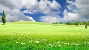 Beautiful Nature Nature Landscape Video Grass Field Background 1080p Background Sunday School Coloring Pages Beautiful Nature