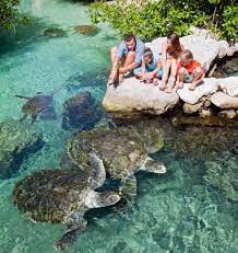 Ideally, both will be on your list. Xcaret Park Mexico S Majestic Paradise Mexico Travel Cancun Trip Riviera Maya Mexico