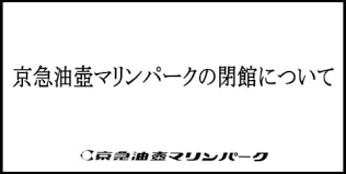 レックス ロリータコンプレックス いたそうだな おお 先生羨ましい 胸でかい パンツ見えん. Mhxbkjals0kxlm