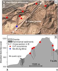 (image via braenstone.com) native plants Genetically Related Mo Bi Ag And U F Mineralization In A Type Granite Gabal Gattar Eastern Desert Egypt Sciencedirect