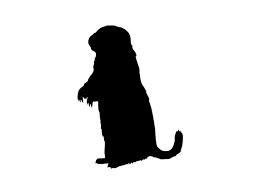 Prairie Dog Silhouette Custom Vinyl Decal Sticker Choose