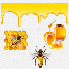 What does sarang lebah mean in english? Honey Bee Bees And Honey Cdr Food Png Pngegg