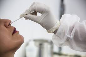 Dr rod mitchell, research group leader and honorary consultant paediatric endocrinologist, mrc centre for reproductive health, university of edinburgh, said: Santos Retoma O Envio De Testes De Covid 19 Para A Rede Estadual Mais Saude G1