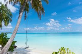 89,990 likes · 32 talking about this. Traumurlaub Auf Den Malediven 12 Tage Im 2 5 Hotel Mit All Inclusive Direktflug Transfer Fur 1 521 Urlaubstracker De