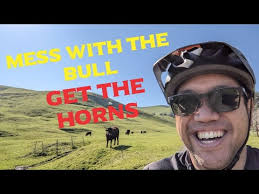 MY COUSIN AND I RIDE OUR MOUNTAIN BIKES IN LYNCH CANYON OPEN SPACE AND HAD  A STANDOFF WITH A BULL!!!