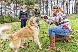 We did not find results for: Unique Characteristics Of The Border Collie Golden Retriever Mix Dogappy