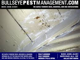 Maybe you would like to learn more about one of these? Beehive Removal In Venus Texas By Bullseye Pest 800 466 4451 Bullseye Pest Management