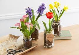 Make It Bloom Flower Bulb Mason Jars Mason Jar Gifts Diy Holiday Gifts Jar Gifts