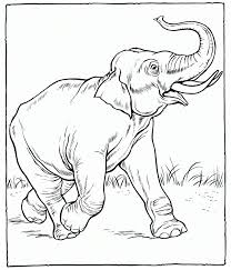 Pin By Coloring Fun On Elephants Elephant Coloring Page Zoo Coloring Pages Zoo Animal Coloring Pages