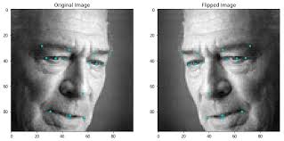 Facial Key Point Detection
