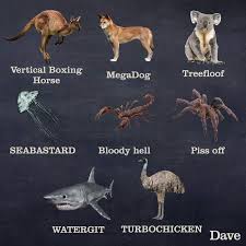 Argh What S That Thing Called Again Funny Animal Names Australia Animals Australia Funny
