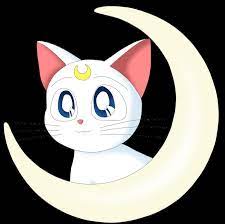 Artemis Cat | Sailor moon wallpaper, Sailor moon cat, Sailor moon art