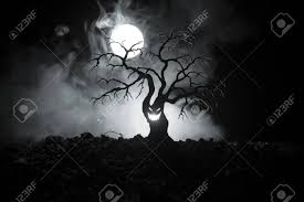 Check spelling or type a new query. Silhouette Of Scary Halloween Tree With Horror Face On Dark Foggy Stock Photo Picture And Royalty Free Image Image 96458876