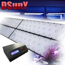 China Dsuny72inch 96inch Programmable Dimmable Aquarium Led Lights Coral Reef Light Fish Tank Ligh With Sunrise And Sunset Timer China Aquarium Lighting Led Dimmable Aquarium Lighting