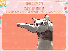 Holding cat meme