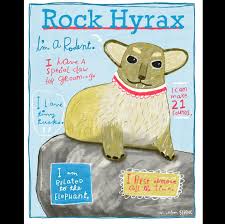 Did You Know The Rock Hyrax Chews Its Cud And Doesn T Have Cloven Hooves Therefore It S Not Kosher Thank Goodness Too Cute To Eat In 2020 Rock Hyrax Hooves Cute
