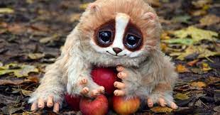 What is the cutest animal in the world. Top 10 Cutest Animals In The World Holidaynomad Com