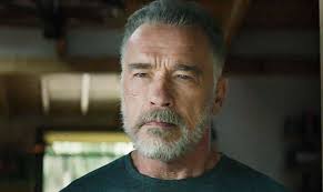 Junior (1994) cast and crew credits, including actors, actresses, directors, writers and more. Arnold Schwarzenegger Que Haria Yo Sin Decir Hasta La Vista Baby Curioso Digital