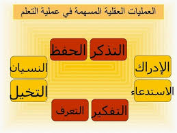 العمليات العقلية العليا فى التنمية البشرية منتديات درر العراق