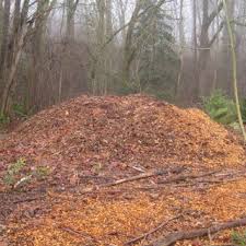 They include both green parts (leaves) and brown (woody). Pdf Using Arborist Wood Chips As A Landscape Mulch Wsu Extension Fact Sheet Fs160e